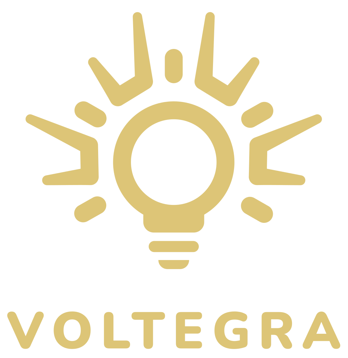 Partner - Voltegra - logo